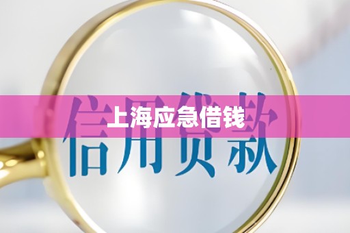 上海应急借钱