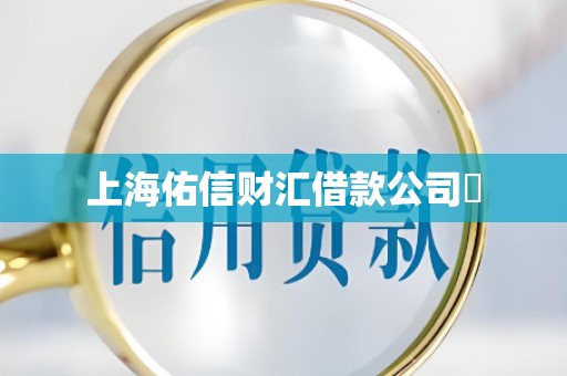 上海佑信财汇借款公司 上海佑信财汇借款公司
