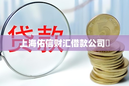上海佑信财汇借款公司​
